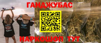 амф Гусев