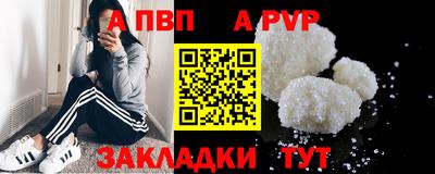 амф Гусев