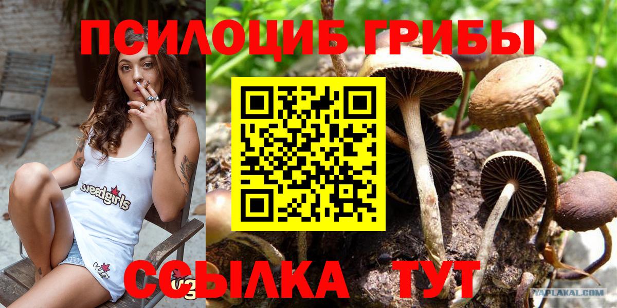Галлюциногенные грибы ЛСД Кинель