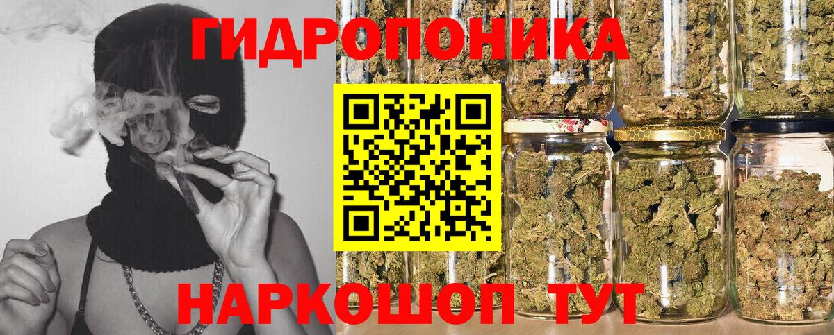 Шишки марихуана индика  Канабис планчик  Кинель  Вход с VPN  Каннабис SATIVA & INDICA 
